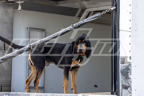 HIGHSIDE_GLS_06_29_24-4