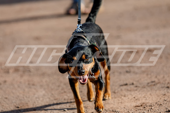 highside_gls_05_21-11