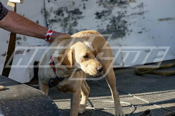 highside_grs_06_17_21-7