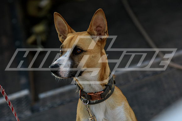 highside_08_20_21-19