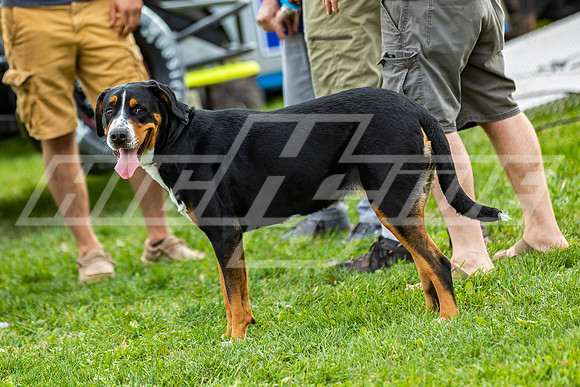 highside_10_02_21-20