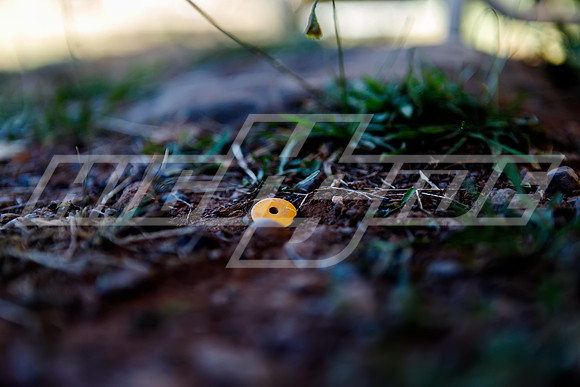 highside_08_15_21-10